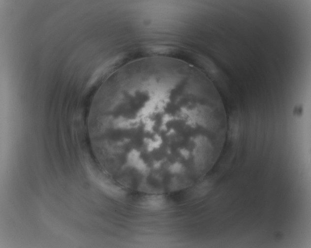 X0000114650377200910201514