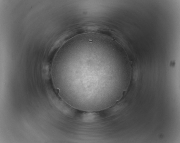 X0000114650378200910201514