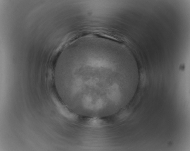 X0000114650379200910201514