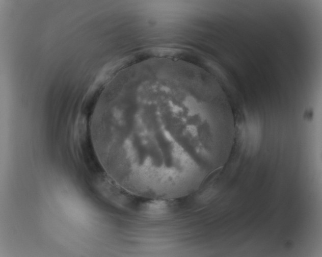 X0000114650381200910201514