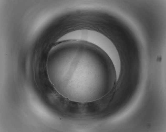 X0000114650382200910201514