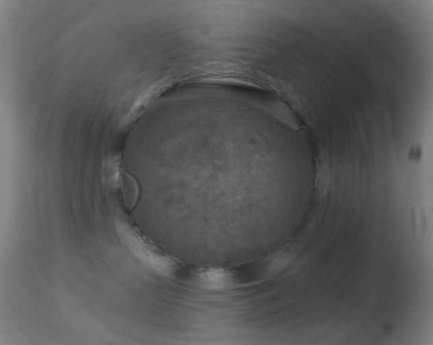 X0000114650383200910201514