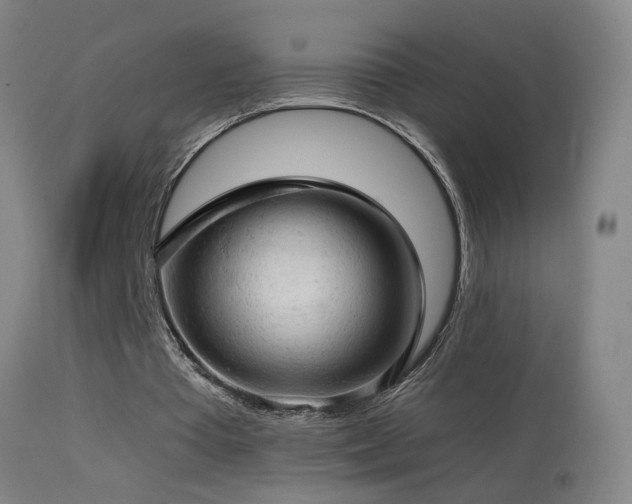 X0000114650385200910201513