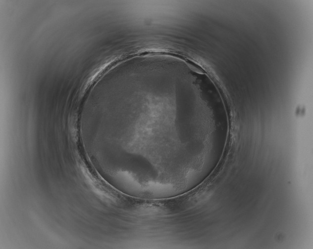 X0000114650386200910201513