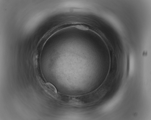 X0000114650387200910201513