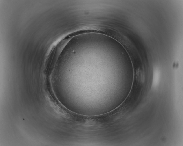 X0000114650388200910201513