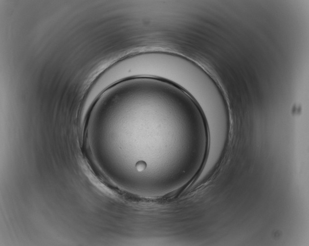 X0000114650389200910201513