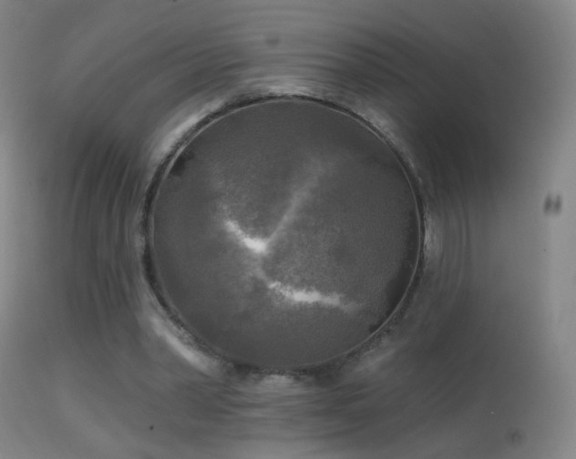 X0000114650390200910201513