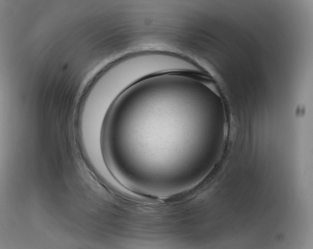 X0000114650391200910201513