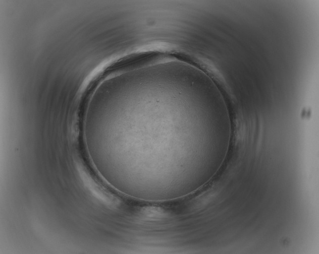 X0000114650392200910201513