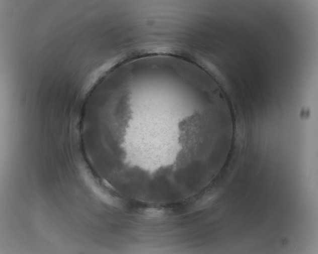 X0000114650394200910201513