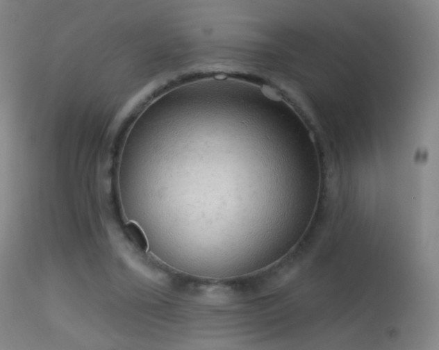 X0000114650395200910201513