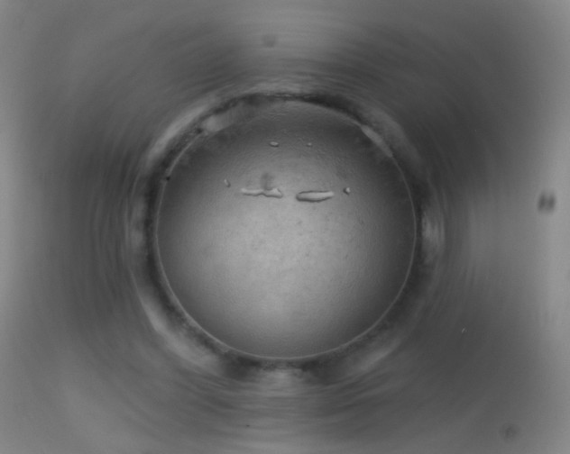 X0000114650396200910201513