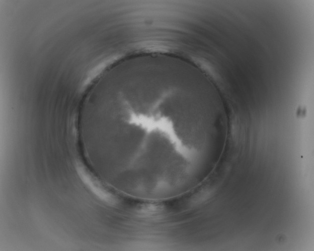 X0000114650398200910201513