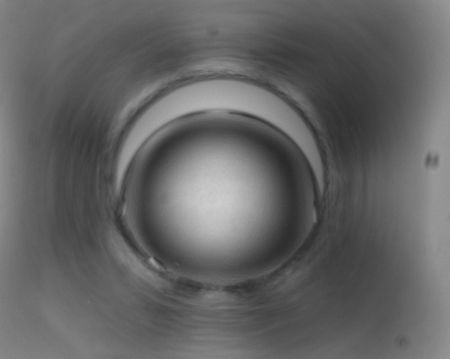 X0000114650399200910201513