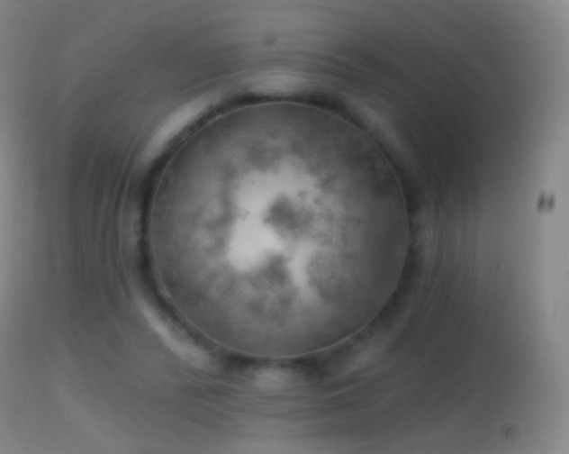 X0000114650400200910201513