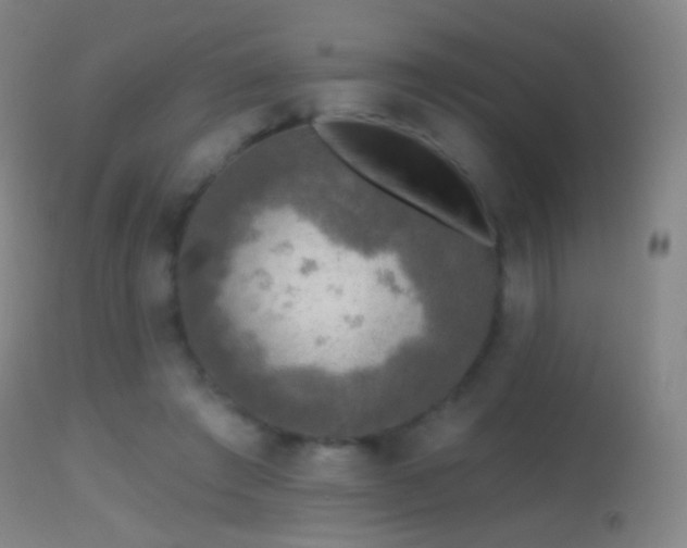 X0000114650401200910201513