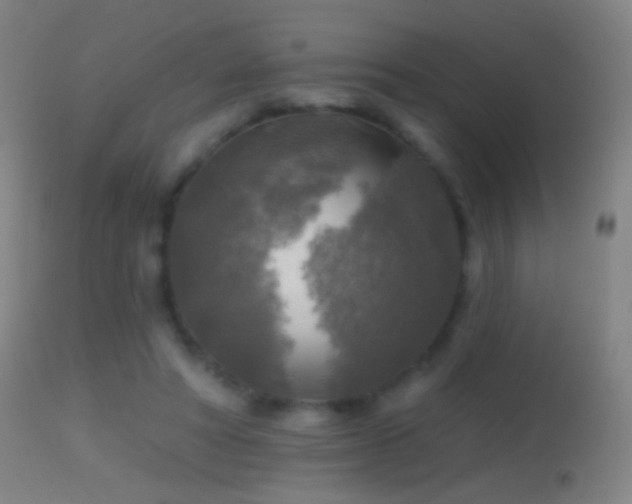 X0000114650402200910201513