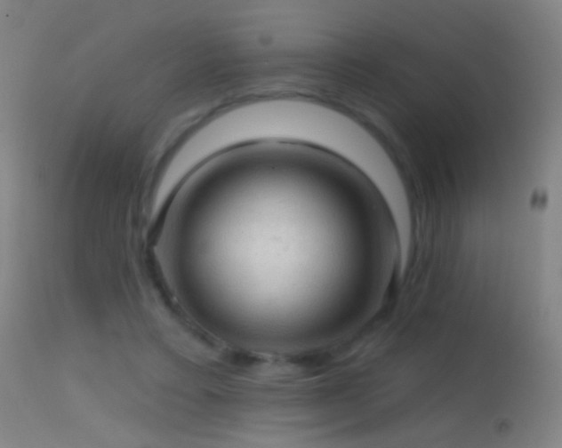 X0000114650403200910201513