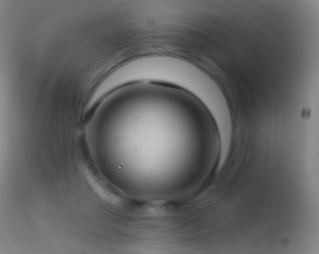 X0000114650405200910201513