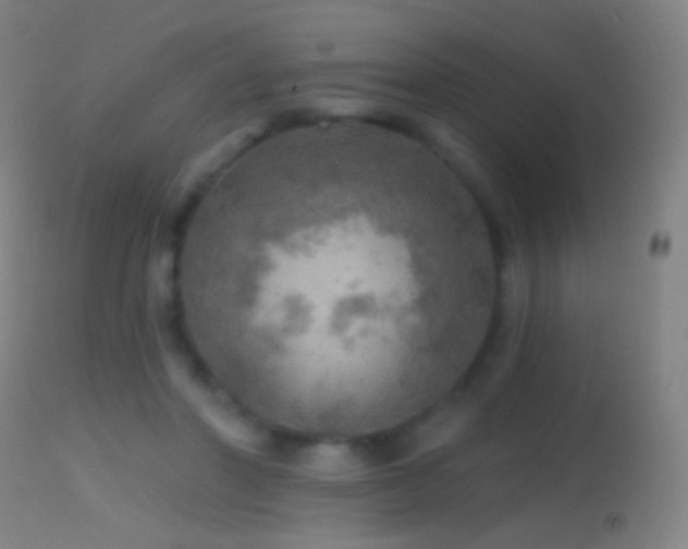 X0000114650406200910201513