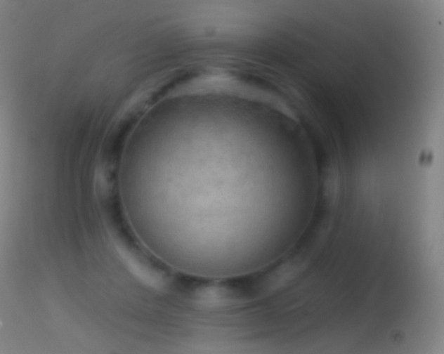 X0000114650408200910201513