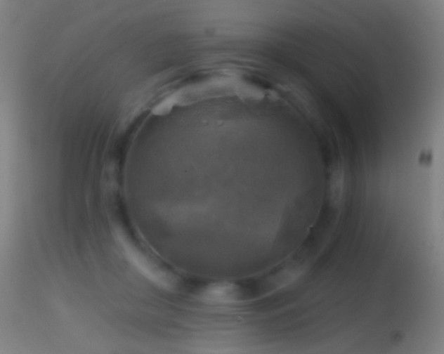 X0000114650410200910201513