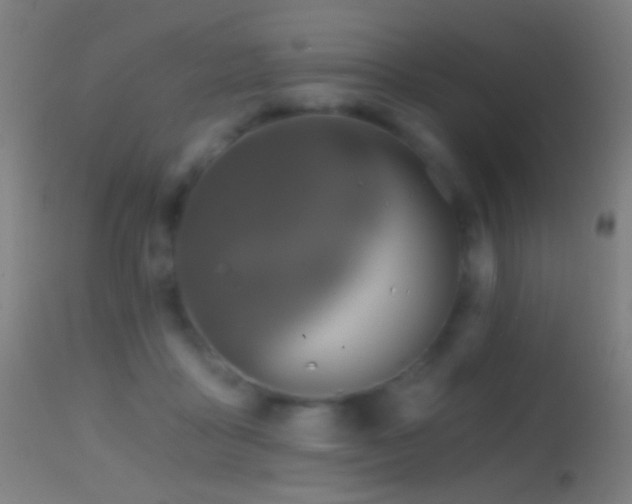 X0000114650411200910201513