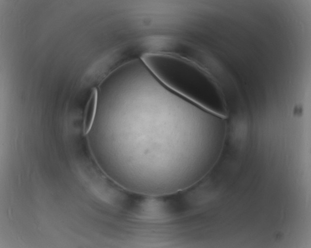 X0000114650413200910201513