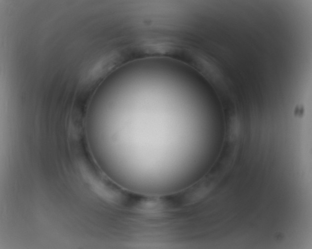 X0000114650414200910201513