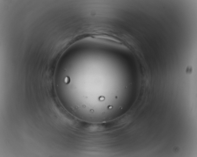 X0000114650415200910201513