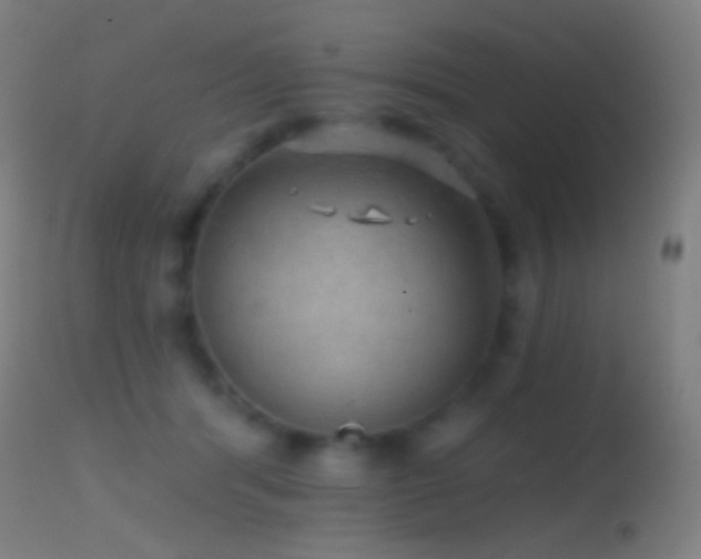 X0000114650416200910201513