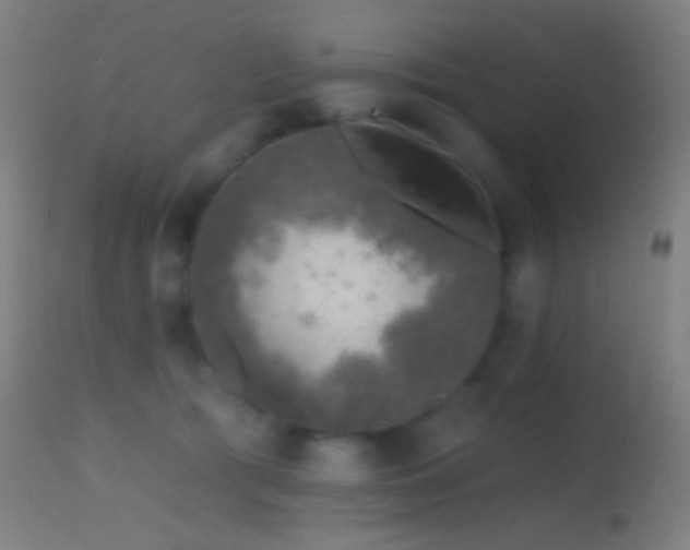 X0000114650417200910201513