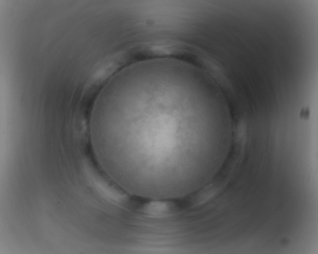 X0000114650418200910201513