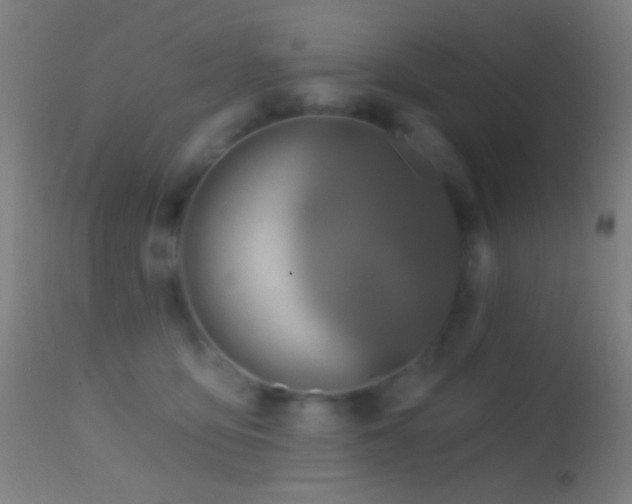 X0000114650419200910201513