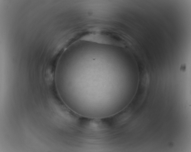 X0000114650420200910201512