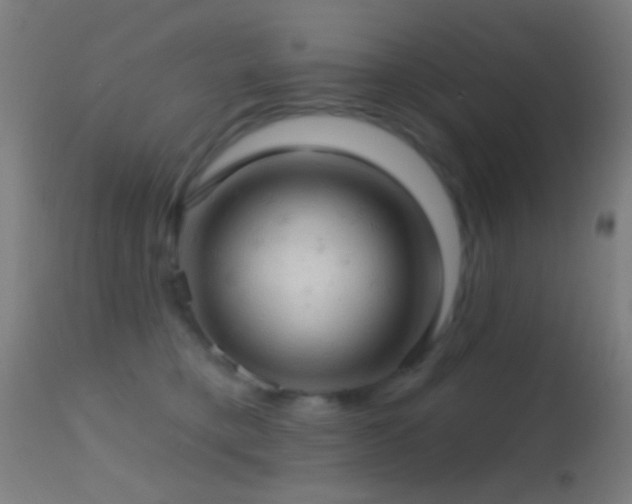 X0000114650421200910201512