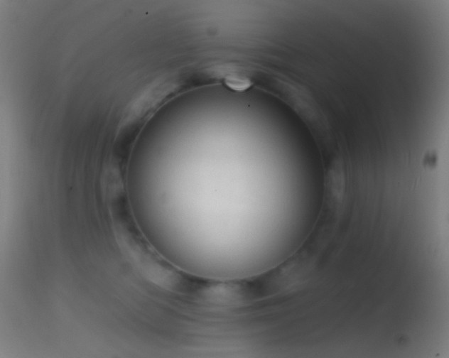 X0000114650422200910201512