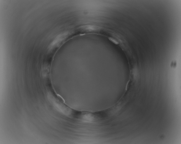 X0000114650423200910201512