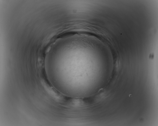 X0000114650424200910201512