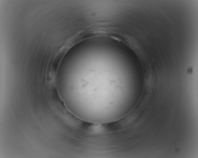 X0000114650425200910201512