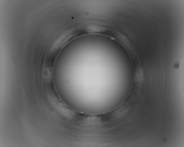 X0000114650426200910201512