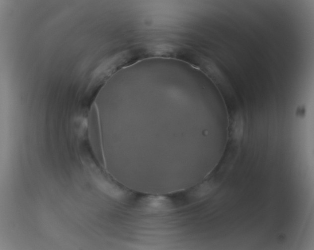 X0000114650427200910201512