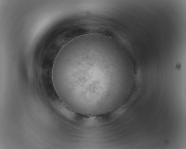 X0000114650430200910201512