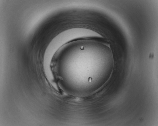 X0000114650431200910201512