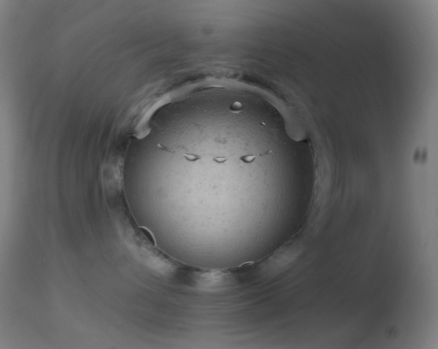 X0000114650432200910201512