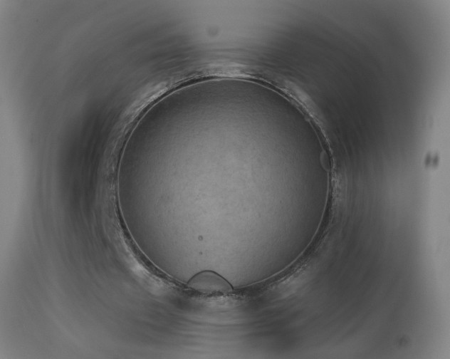 X0000114650433200910201512