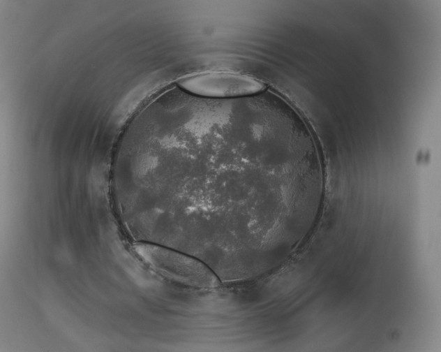 X0000114650434200910201512