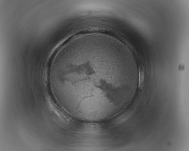 X0000114650435200910201512