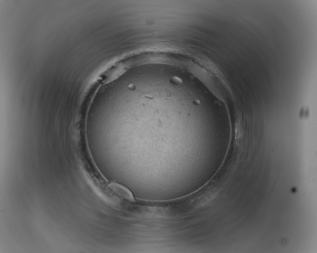 X0000114650436200910201512